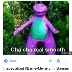 Meet your Posher, Joey